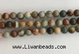 CNI372 15.5 inches 10mm round American picture jasper beads