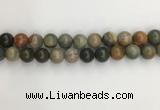 CNI373 15.5 inches 12mm round American picture jasper beads