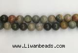 CNI374 15.5 inches 14mm round American picture jasper beads