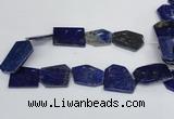 CNL1515 15.5 inches 30*35mm - 35*45mm freeform lapis lazuli beads