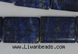 CNL546 15.5 inches 18*25mm flat tube natural lapis lazuli gemstone beads