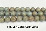 CNS338 15.5 inches 20mm round serpentine jasper beads wholesale