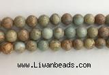 CNS704 15.5 inches 12mm round serpentine jasper beads wholesale