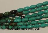 CNT117 15.5 inches 4*8mm rice natural turquoise beads wholesale