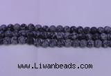 COB560 15.5 inches 4mm round matte snowflake obsidian beads