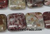 COJ216 15.5 inches 20*20mm square blood stone beads wholesale