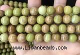 COP1576 15.5 inches 12mm round Australia olive green opal beads