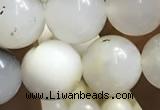 COP1586 15.5 inches 10mm round white opal gemstone beads