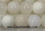 COP1589 15.5 inches 8mm round white opal gemstone beads