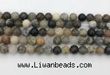 COP1602 15.5 inches 8mm round moss opal beads wholesale