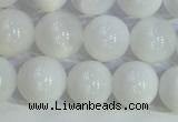 COP1616 15.5 inches 8mm round white opal gemstone beads