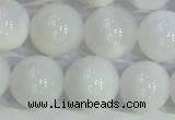 COP1617 15.5 inches 10mm round white opal gemstone beads