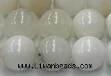 COP1731 15.5 inches 8mm round white opal beads wholesale