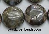 COP252 15.5 inches 25mm flat round natural grey opal gemstone beads