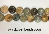 COS248 15.5 inches 20mm flat round ocean stone beads wholesale