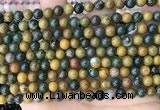 COS301 15.5 inches 6mm round ocean jasper beads wholesale