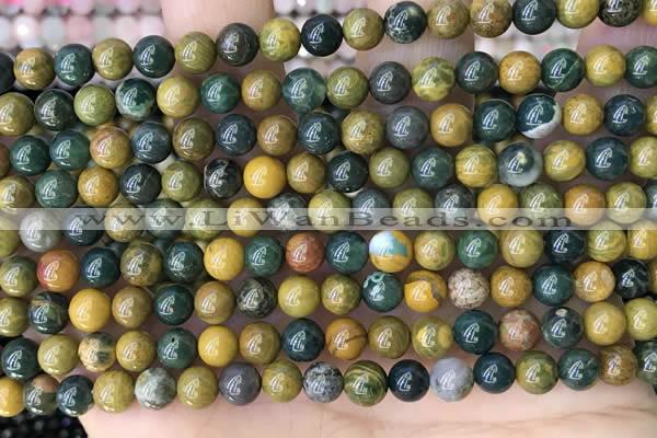 COS301 15.5 inches 6mm round ocean jasper beads wholesale