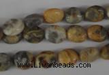 COV26 15.5 inches 8*10mm oval crazy lace agate beads wholesale