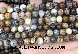 CPB1031 15.5 inches 8mm round pietersite beads wholesale