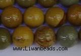 CPJ455 15.5 inches 14mm round wildhorse picture jasper beads