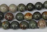 CPJ62 15.5 inches 10mm round picasso jasper gemstone beads