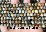 CPJ707 15.5 inches 6mm round rocky butte picture jasper beads