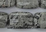 CPT182 15.5 inches 20*30mm rectangle grey picture jasper beads