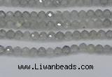 CRB1936 15.5 inches 2*3mm faceted rondelle labradorite beads