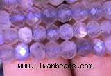 CRB1981 15.5 inches 3*5mm faceted rondelle labradorite beads