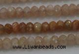 CRB224 15.5 inches 2.5*4mm faceted rondelle moonstone beads