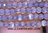 CRB2660 15.5 inches 1.5*2mm faceted rondelle labradorite beads