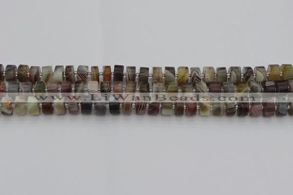 CRB493 15.5 inches 5*8mm tyre botswana agate beads wholesale