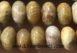 CRB5321 15.5 inches 4*6mm rondelle fossil coral beads wholesale