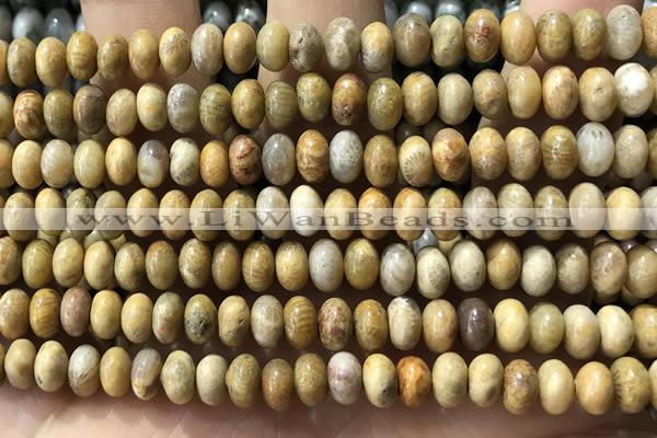 CRB5321 15.5 inches 4*6mm rondelle fossil coral beads wholesale