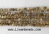 CRG33 15.5 inches 6mm flat star picture jasper beads wholesale