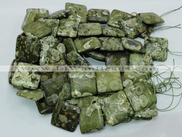 CRH20 15.5 inches 30*30mm square rhyolite beads wholesale