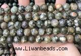 CRH563 15.5 inches 10mm round rhyolite beads wholesale