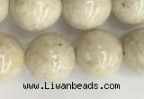 CRJ623 15.5 inches 10mm round white fossil jasper beads wholesale