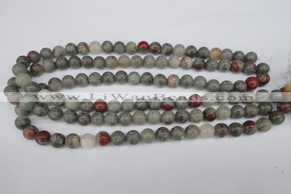 CRO190 15.5 inches 10mm round bloodstone beads wholesale