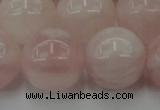 CRQ675 15.5 inches 16mm round rose quartz beads wholesale