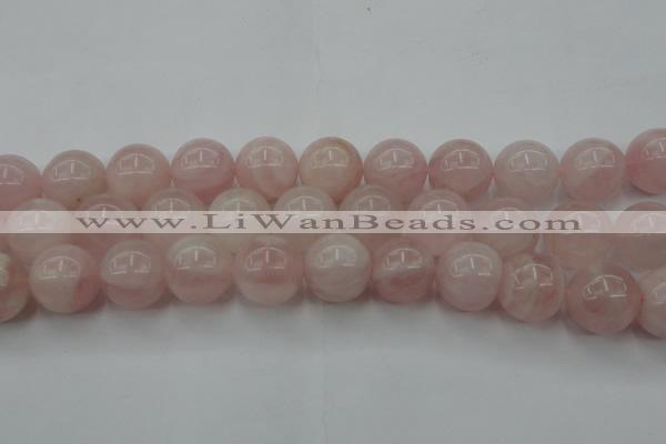 CRQ675 15.5 inches 16mm round rose quartz beads wholesale