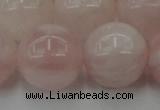 CRQ676 15.5 inches 16mm round rose quartz beads wholesale