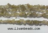 CRU929 15.5 inches 6*8mm - 10*12mm chips golden rutilated quartz beads