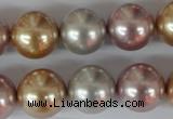 CSB103 15.5 inches 16mm round mixed color shell pearl beads