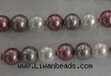 CSB1036 15.5 inches 8mm round mixed color shell pearl beads