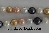 CSB1042 15.5 inches 8mm round mixed color shell pearl beads