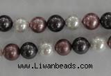 CSB1045 15.5 inches 8mm round mixed color shell pearl beads