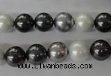 CSB1052 15.5 inches 10mm round mixed color shell pearl beads