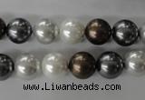 CSB1054 15.5 inches 10mm round mixed color shell pearl beads