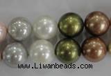 CSB1085 15.5 inches 12mm round mixed color shell pearl beads